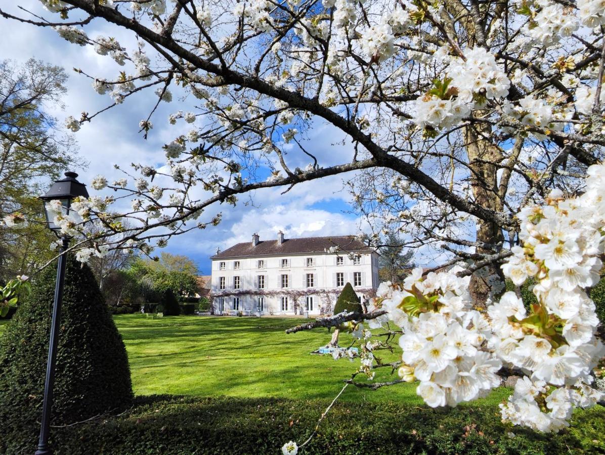 Chateau De Brinville Saint-Sauveur-sur-Ecole Eksteriør billede